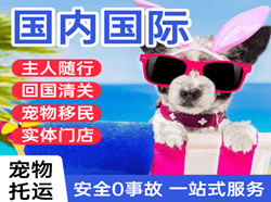 长沙航空快运国际宠物托运 【国